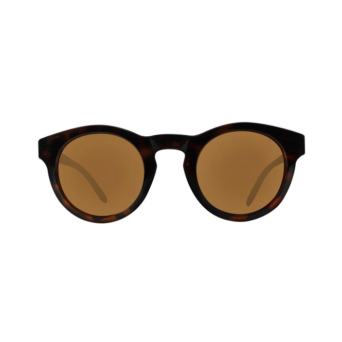 Sunglasses Brunotti Hambros 1 Women Brown