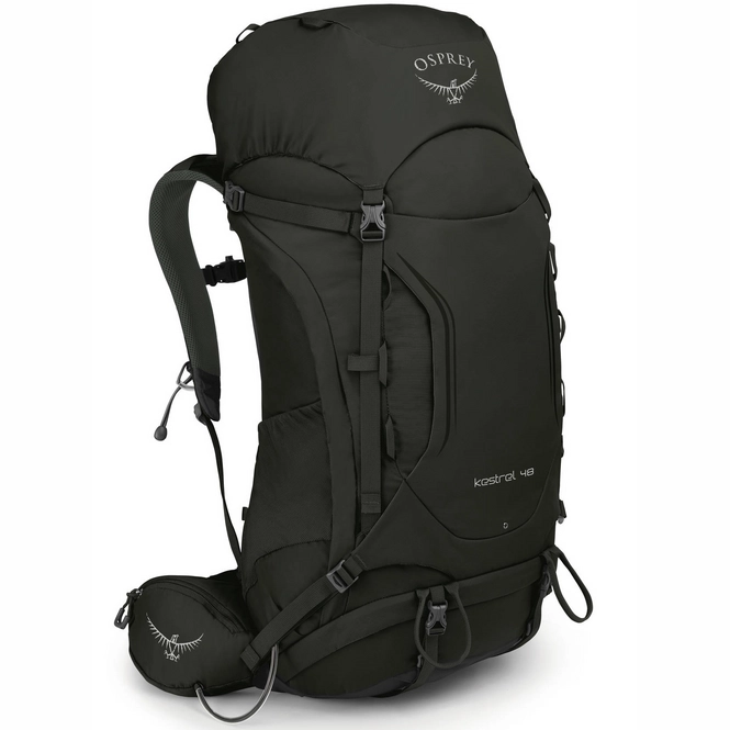 Backpack Osprey Kestrel 48 Picholine Green Men (M/L)