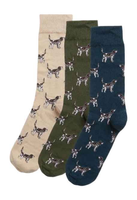 Socks Barbour Men Pointer Dog Gift Box Forest Mist