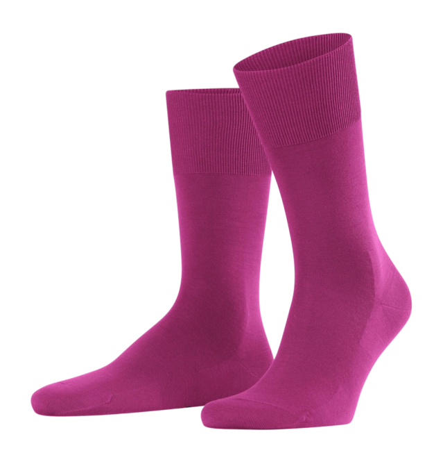 Socks Falke Men ClimaWool SO Berry