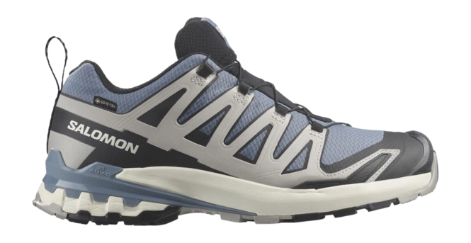 Trailrunning Shoe Salomon Men XA Pro 3D V9 GTX Flint Stone Black Ghost Spray '24