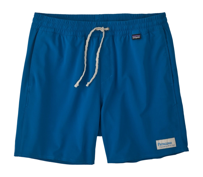 Swimming Trunks Patagonia Men Hydropeak Volley Shorts Endless Blue
