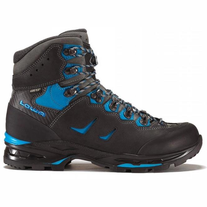 Walking Shoe Lowa Camino Gtx Black Blue