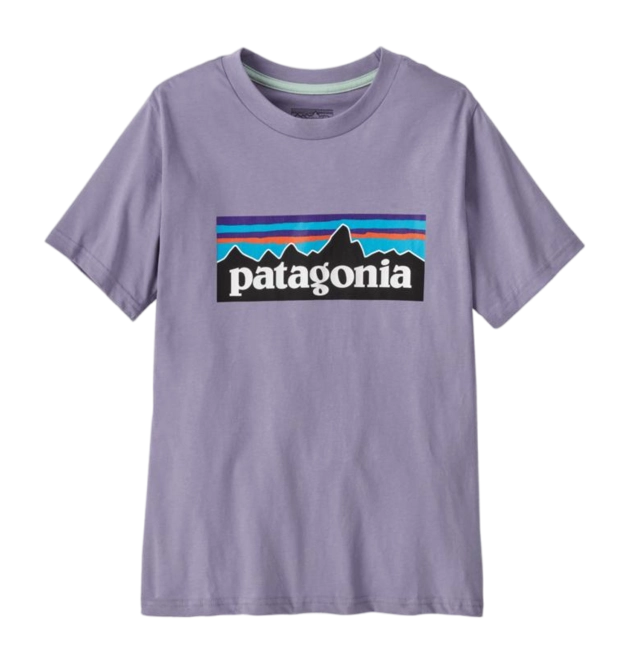 T-Shirt Patagonia Kids P-6 Logo Rock Wash: Concrete Purple 25