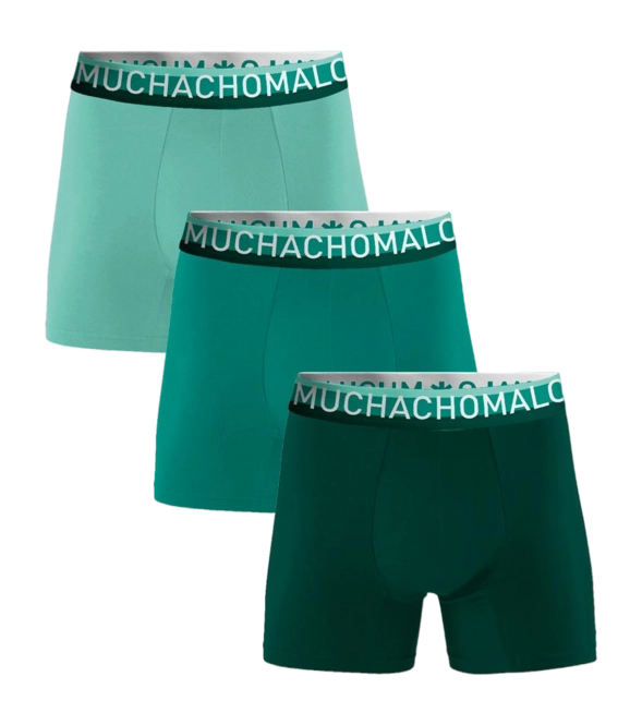 Boxer Shorts Muchachomalo Men Cotton Solid Green (3-Pack)