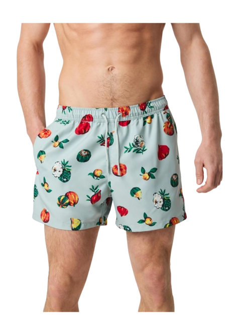 Swimming Trunks Björn Borg Men Borg Print Swim Shorts Pumpkin Patch Big 1