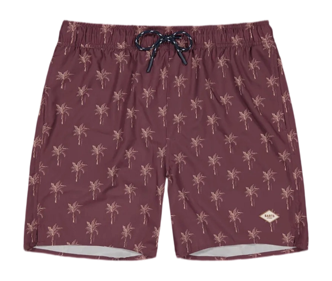 Swimming Trunks Barts Men Bernardou Shorts Prune