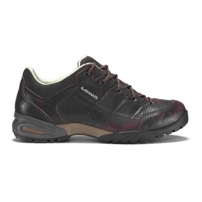 Walking Shoe  Lowa Hudson Ll Lo Dark Brown