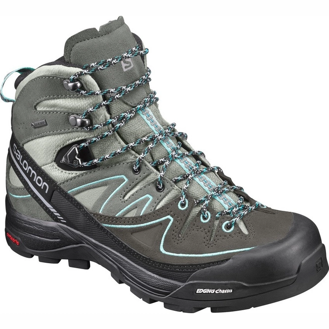 Walking Boots Salomon X Alp Mid LTR GTX Women Shad Castor Grey