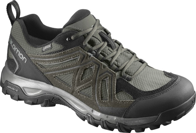 Walking Shoes Salomon Evasion 2 GTX Beetle Rosin Castor