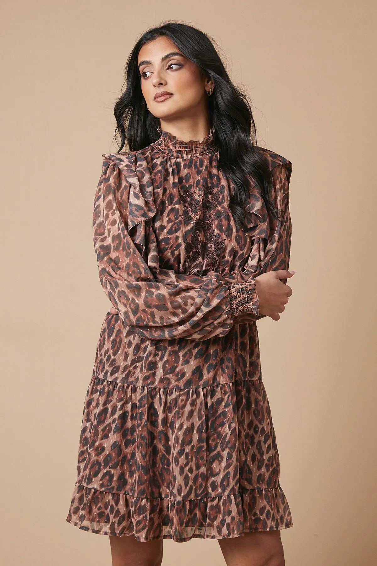 Animal Print Embroidered Dobby Chiffon Mini Dress