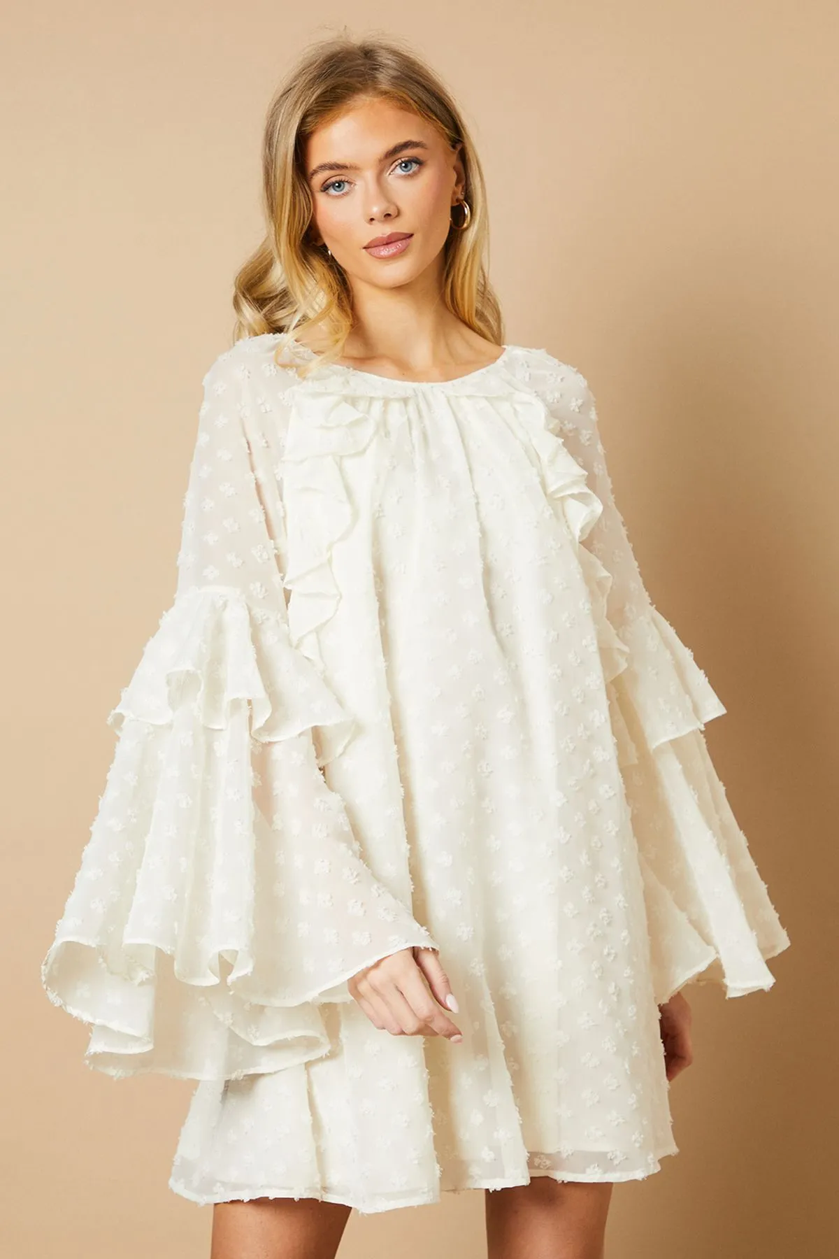 Dobby Chiffon Ruffle Sleeve Mini Dress