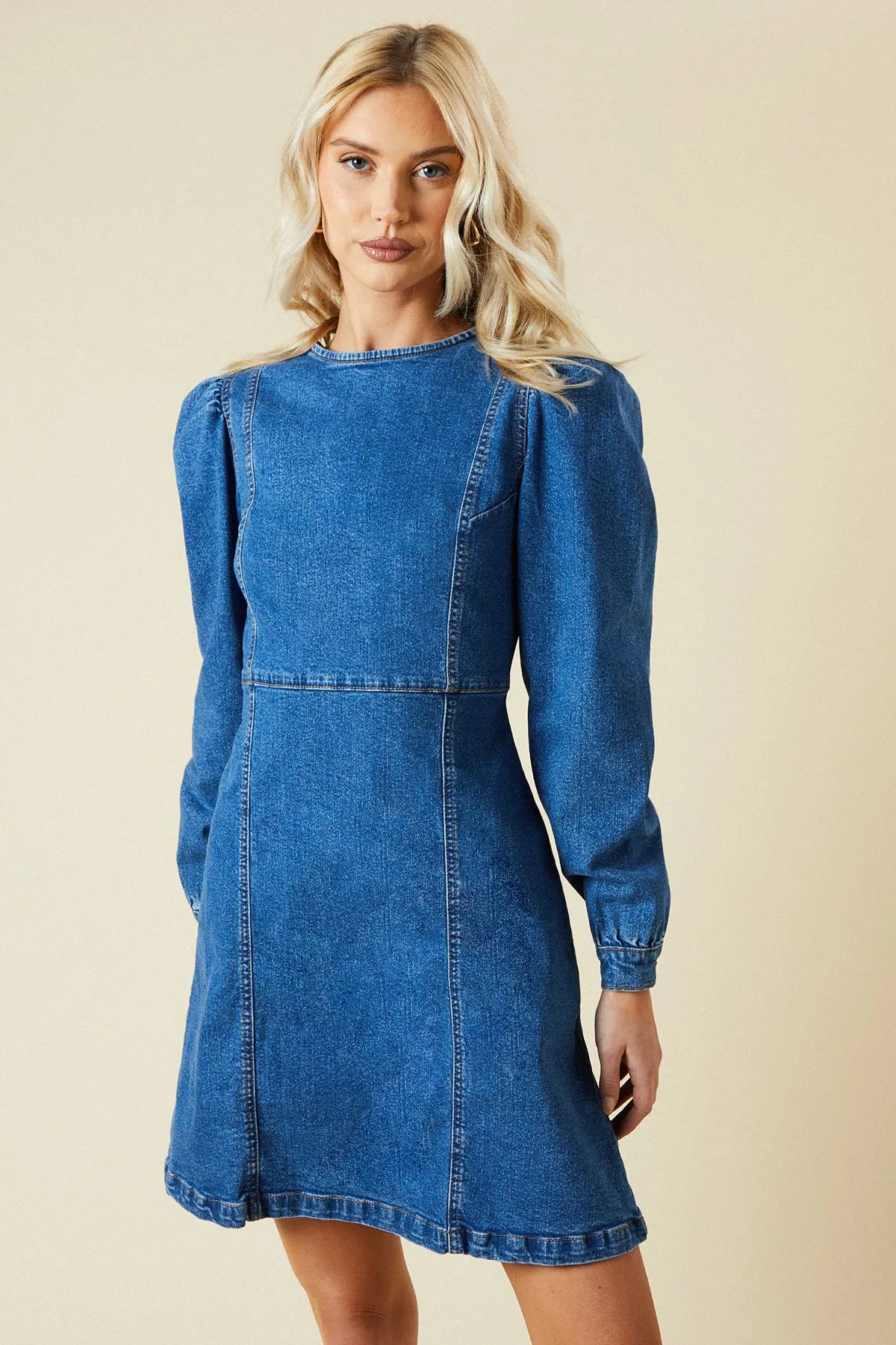 Seam Front Mini Denim Dress