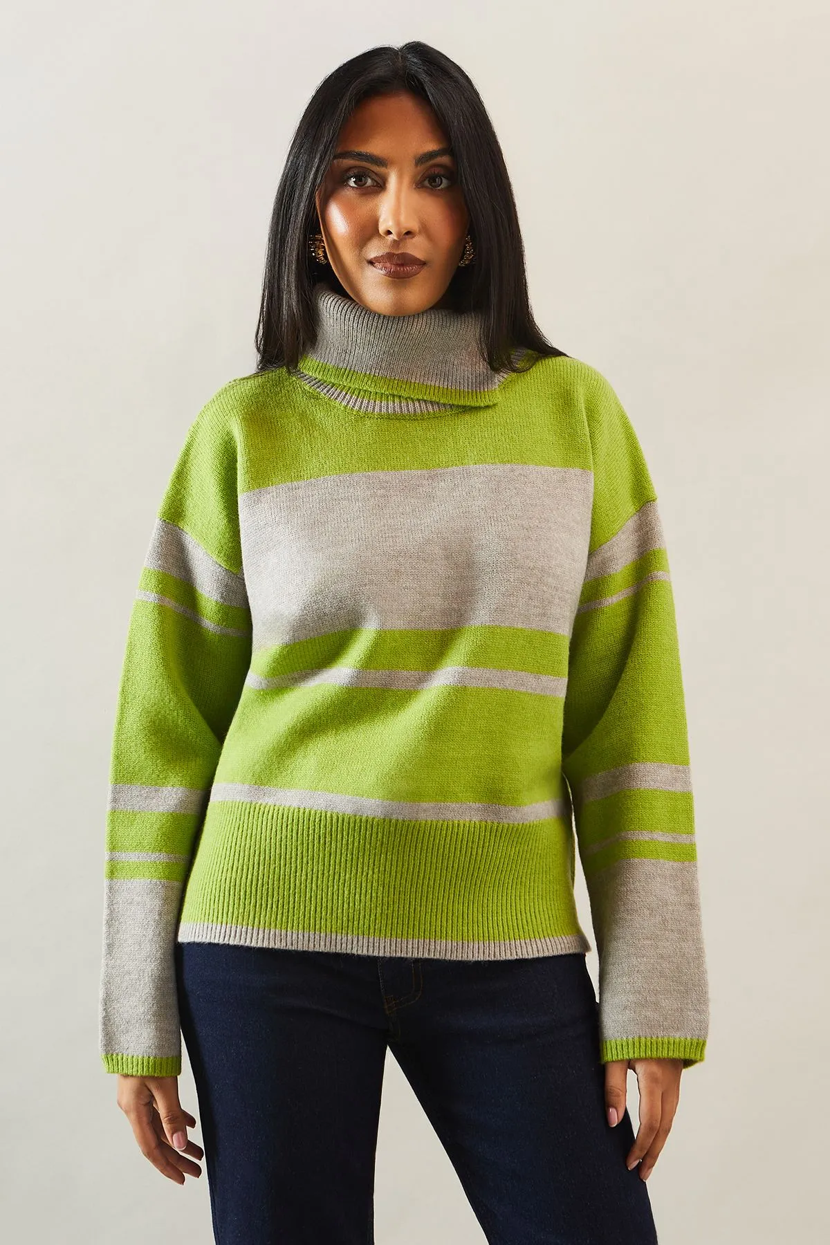 Petite Striped Colour Block Roll Neck Jumper