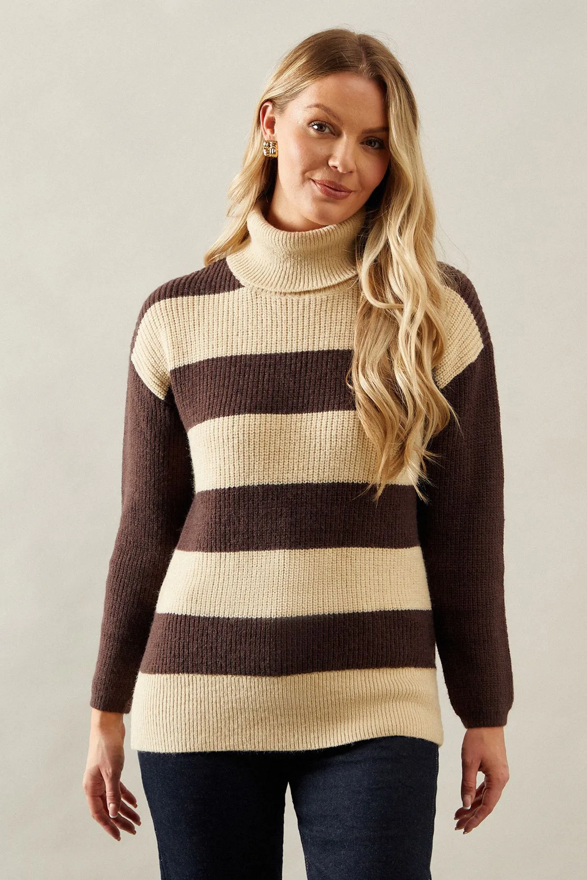 Striped Roll Neck Jumper