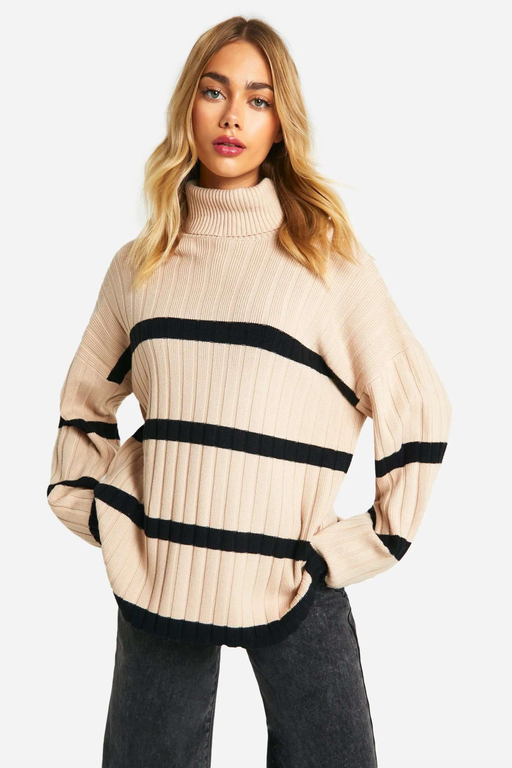 Roll Neck Thick Rib Stripe Jumper