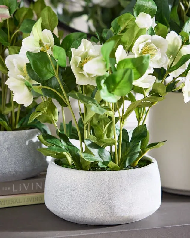 White Hellebore Flowers in Round Blue Flower Vase H41 x Dia38cm