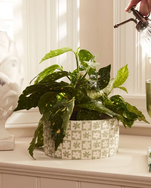 Classic Wide Green Floral Checkerboard Indoor Flower Planter H9 x Dia18cm