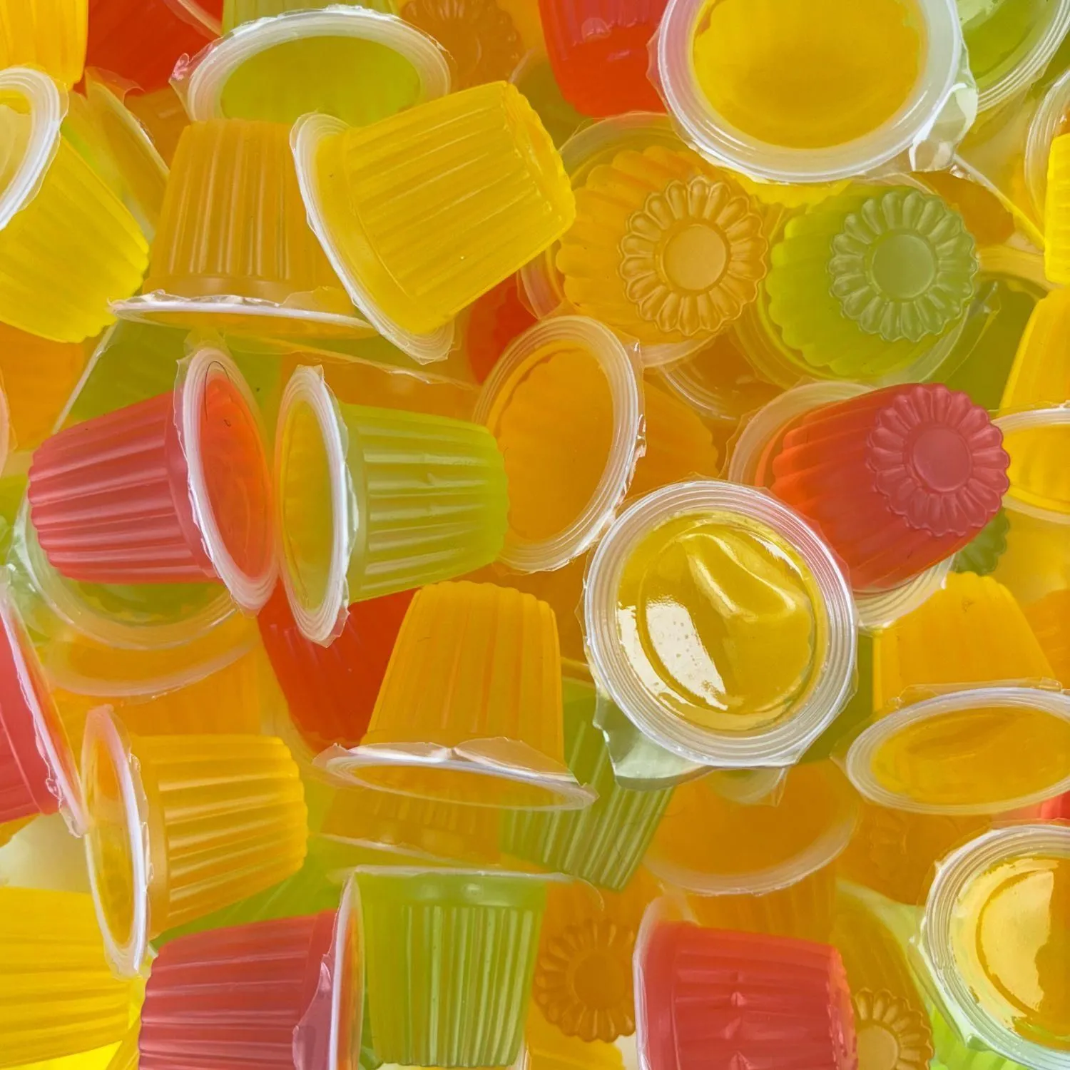 Bundle Assorted Jelly Pots Reptile Treat Food (x10)