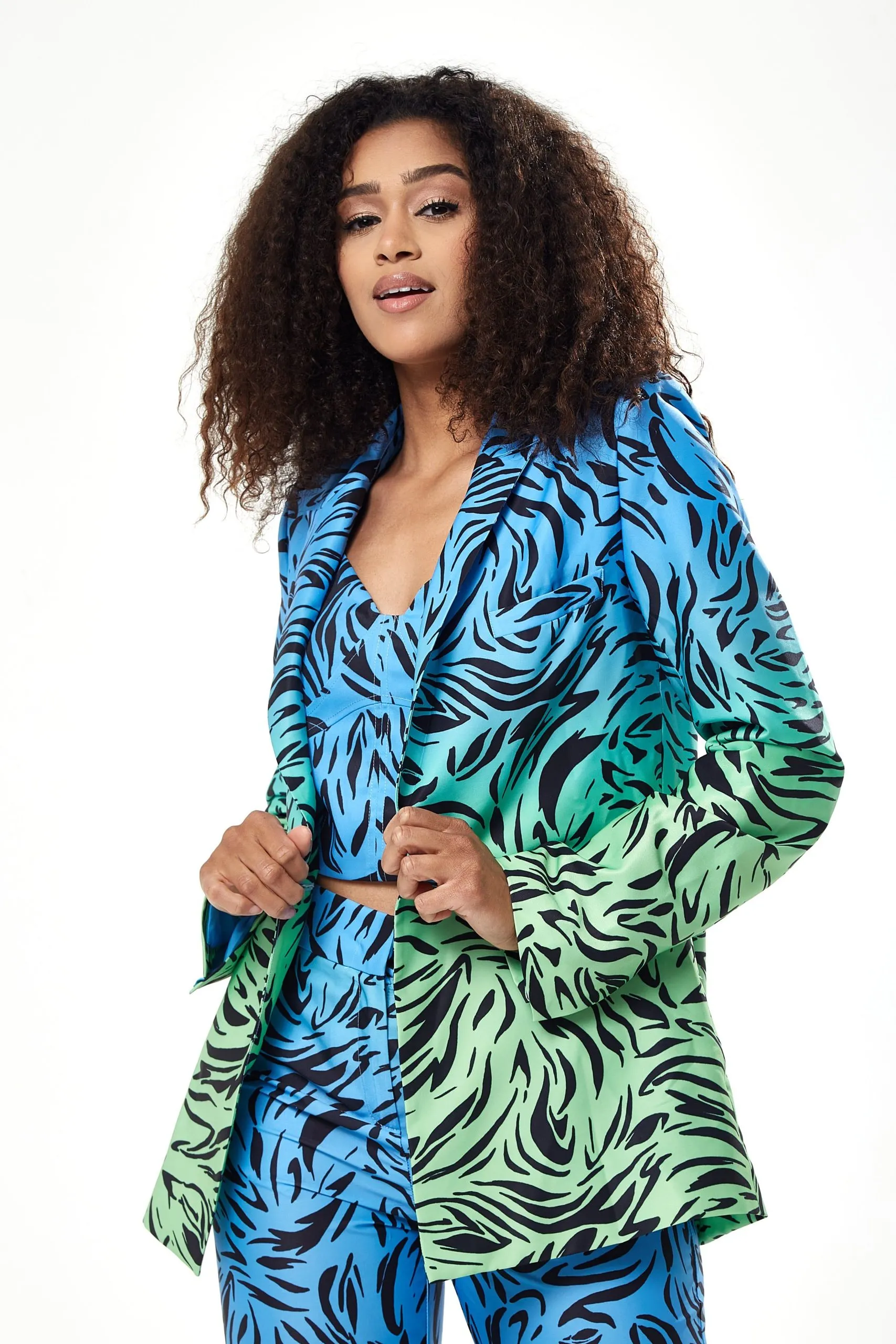 Zebra Print Ombre Blazer in Blue and Green