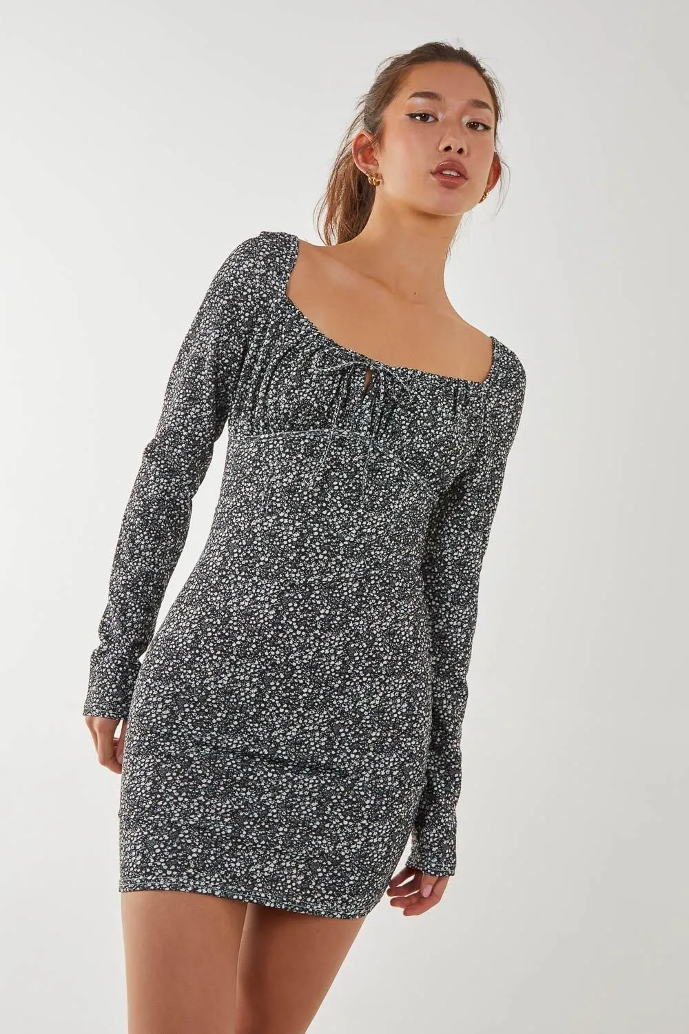 Long Sleeve Ditsy Floral Dress