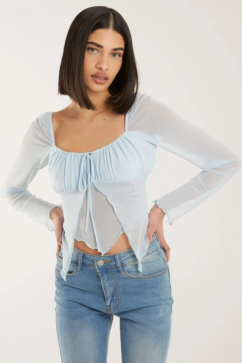 Butterfly Long Sleeve Mesh Top