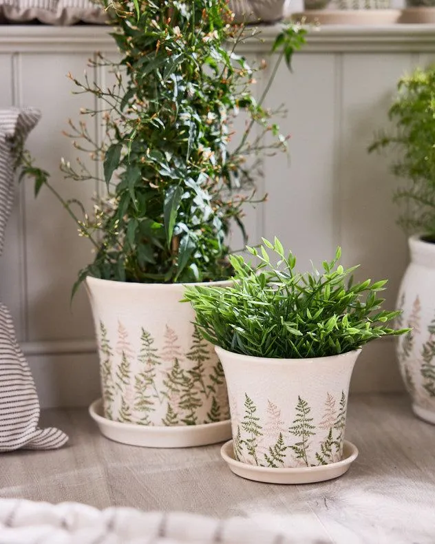 Set of 2 Fern Planters with Trays Indoor Outdoor Flower Garden Planters