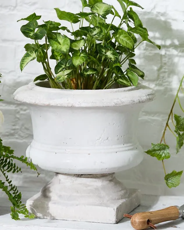 Tradiional Style Aged Footed Jardiniere Indoor Outdoor Garden Planter (Dia) 30cm, (H) 27cm