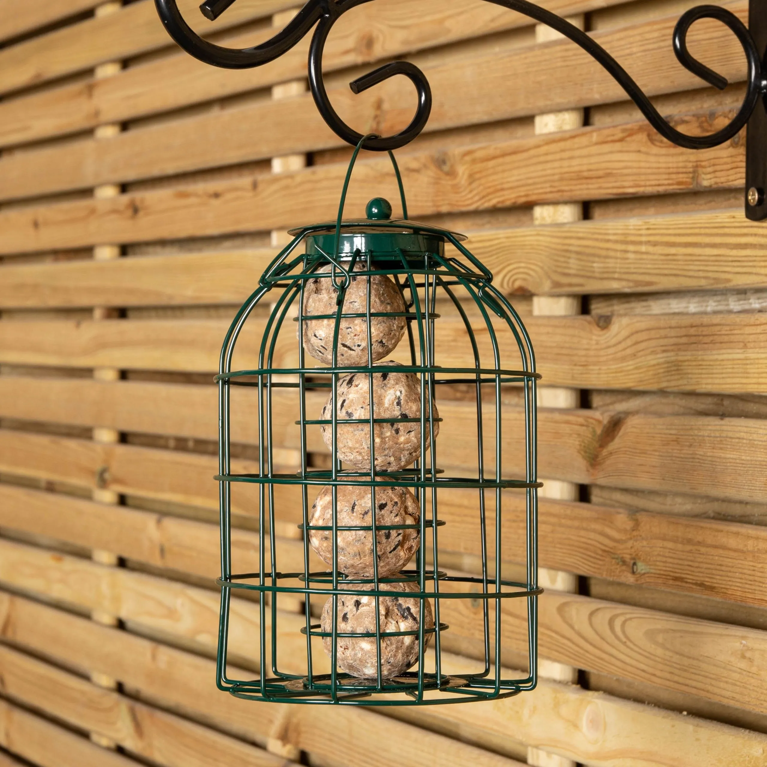 Pack of 3 Wild Bird Fat Ball Feeder with Squirrel Guard