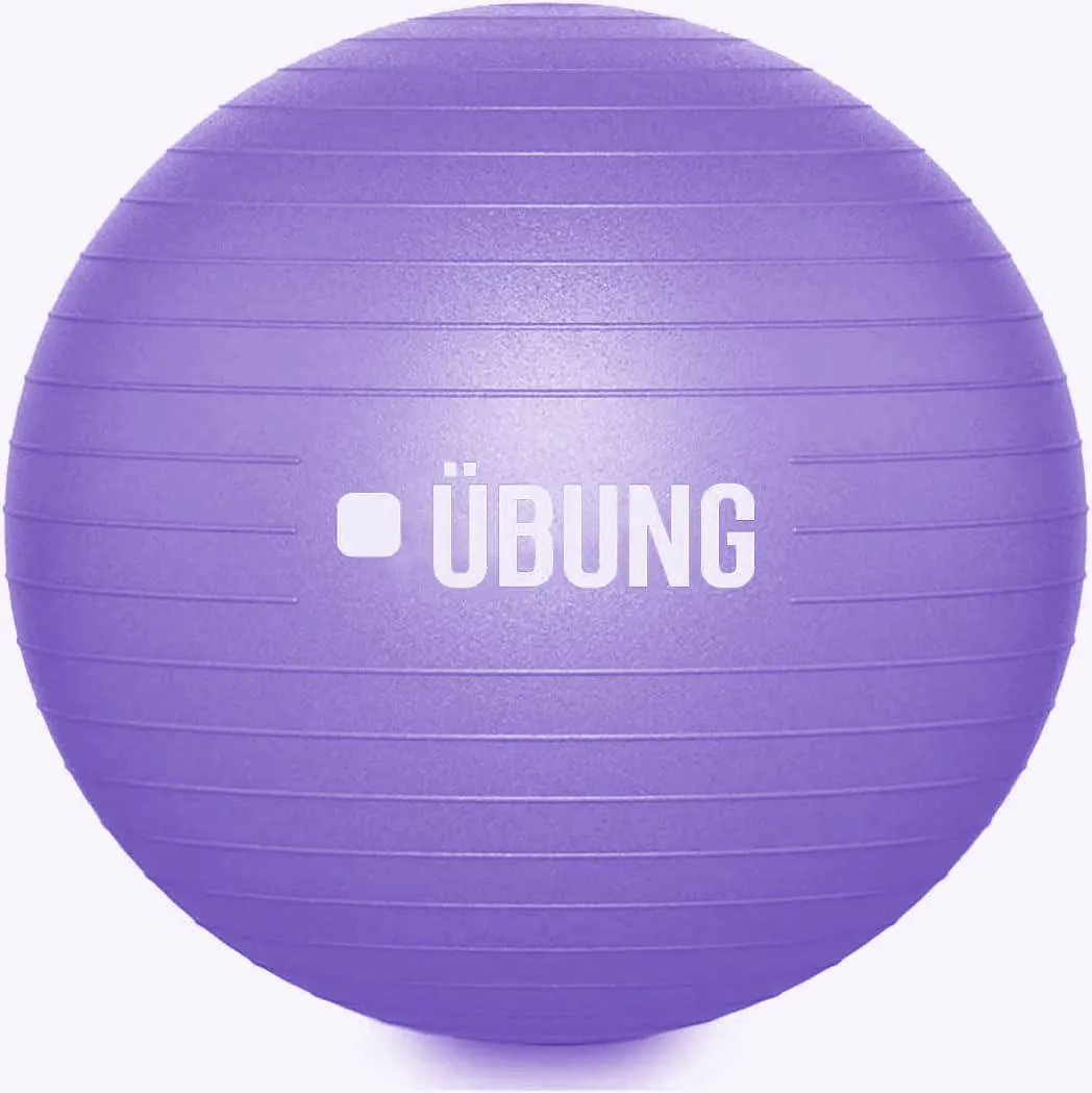 UBUNG Anti-Burst 65cm Exercise Ball with Pump – Light Purple