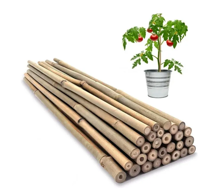 20 x Natural Bamboo Plant Support Sticks 60cm / 2FT Plant Stakes Split Canes