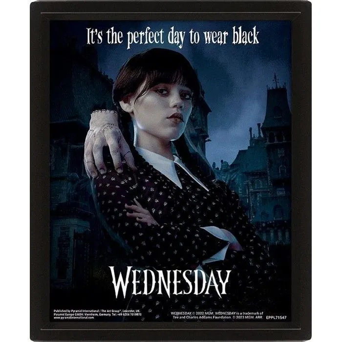 It´s The Perfect Day To Wear Black 3D Poster