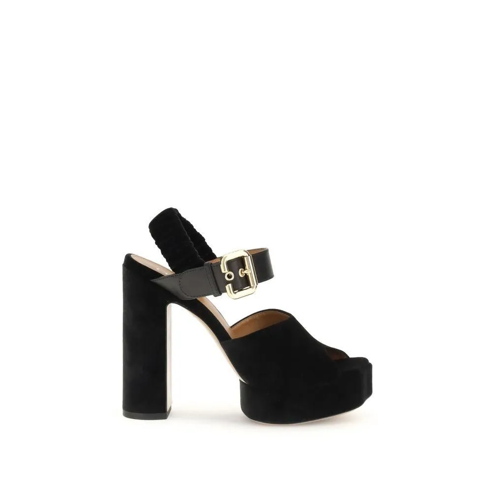 Aria Pumps with Block Heel and Paddington Buckle- Black