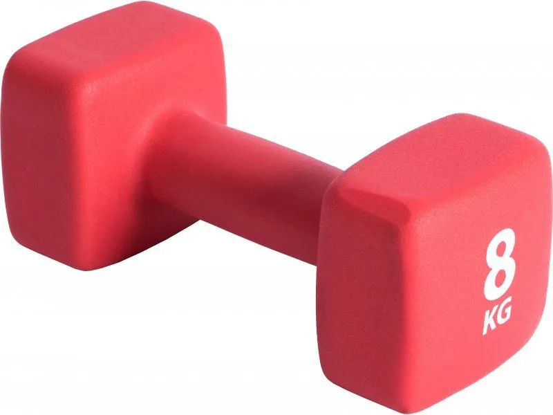 Neoprene Coated Dumbbell Set 1 X 8 Kg