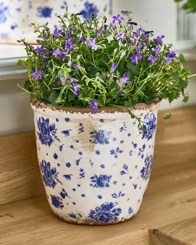 Vintage Tall Blue China Rose Spring Summer Plant Pot Indoor Flower Planter (Dia) 15cm, (H) 14cm