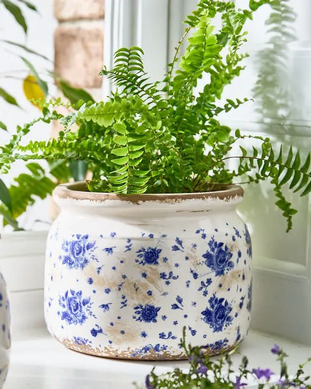 Vintage Medium Blue China Rose Spring Summer Plant Pot Indoor Flower Planter (Dia) 15cm, (H) 14cm