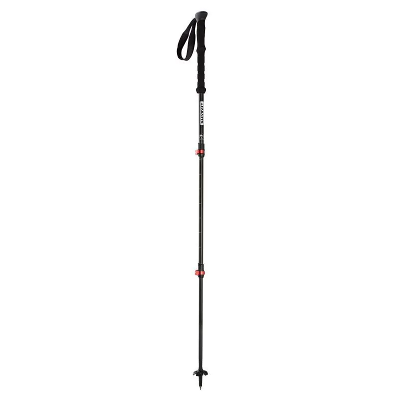Fuji Carbon Speedlock - Walking pole